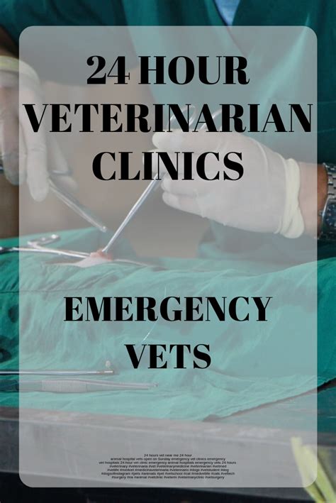 emergency vet open 24 hours.